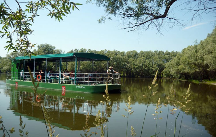 Boat tours on Kopački Rit