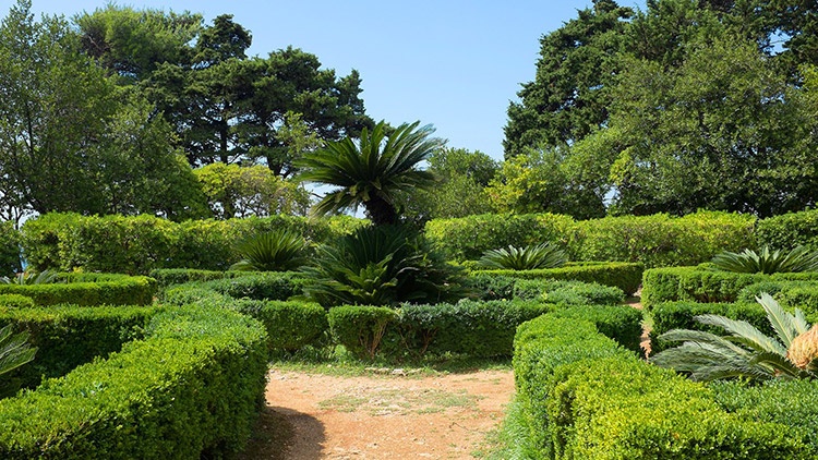 Lokrum Botanical Garden